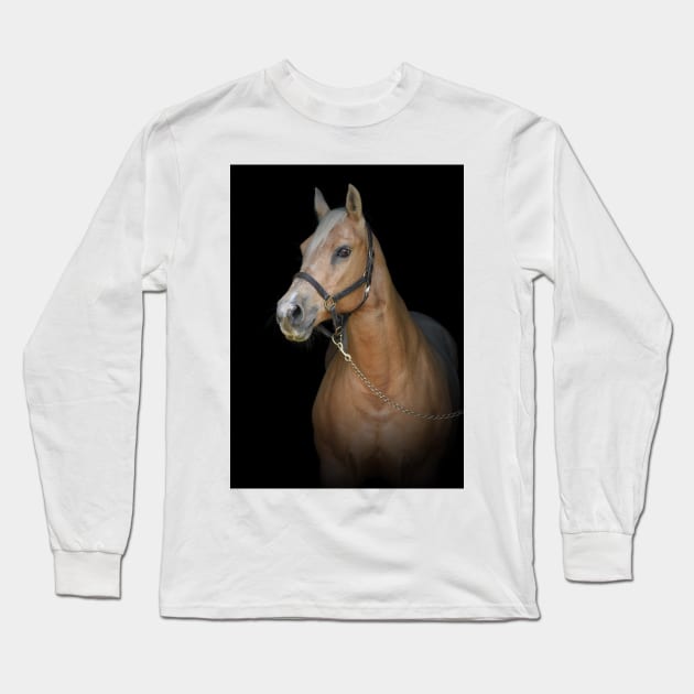 Montana Long Sleeve T-Shirt by theartsyeq